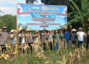 Polresta Balikpapan Ikuti Panen Raya Jagung Nasional Bersama Presiden, Perkuat Ketahanan Pangan Daerah