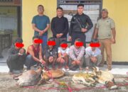 Polsek Mawasangka Berhasil Ringkus 6 Pelaku Pencurian 4 Ekor Kambing