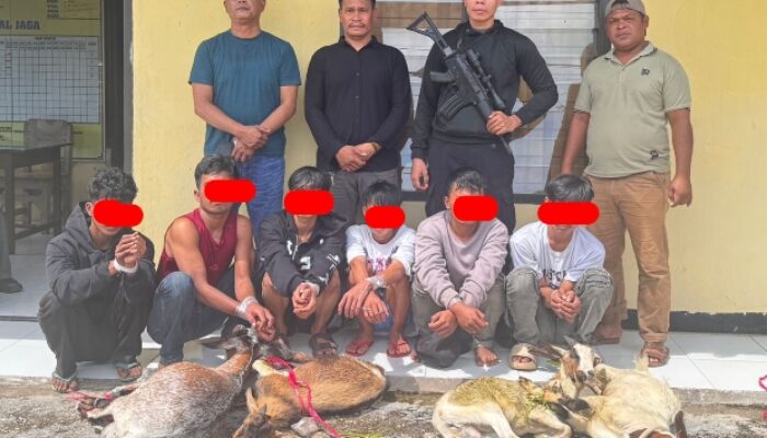 Polsek Mawasangka Berhasil Ringkus 6 Pelaku Pencurian 4 Ekor Kambing