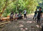 Satreskrim Polres Buton Ungkap Dugaan Penerbangan Liar Pohon Jati di Kawasan Hutan, Lima Orang Diamankan