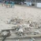Pantai Nusantara Manggar Diterpa Persoalan Sampah, Pengunjung Soroti Pengelolaan Kebersihan