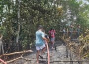 Karhutla di Manggar Baru Hanguskan 5.000 Meter Persegi Lahan, Sinergi Aparat dan Warga Cegah Api Meluas