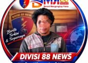 Keributan di Acara Joget Berujung Penikaman, Polisi Amankan Terduga Pelaku di Buton