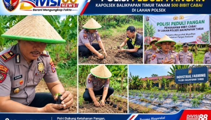 Dukung Ketahanan Pangan, Kapolsek Balikpapan Timur Tanam 500 Bibit Cabai di Lahan Polsek