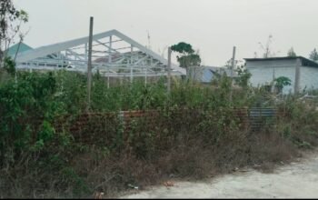 Program Ketahanan Pangan Desa Morikana Tahun 2025 Disorot, Anggaran Sekitar Rp 190 Juta Entah Digelapkan ke Mana…???
